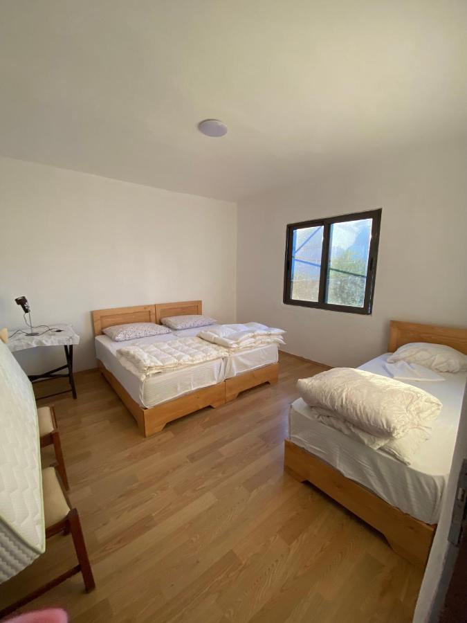 Rupa Guest House Camping شكودر المظهر الخارجي الصورة