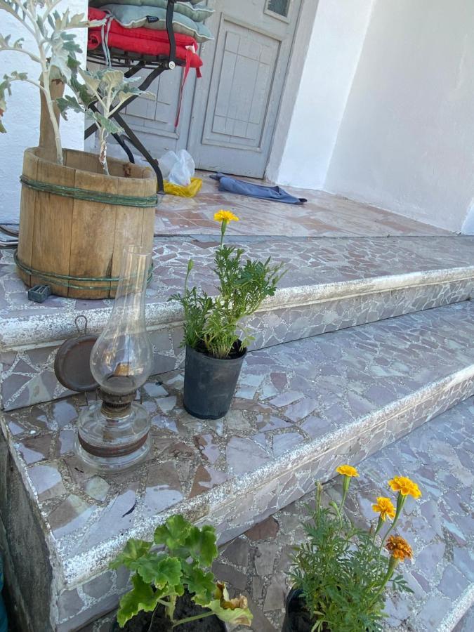 Rupa Guest House Camping شكودر المظهر الخارجي الصورة